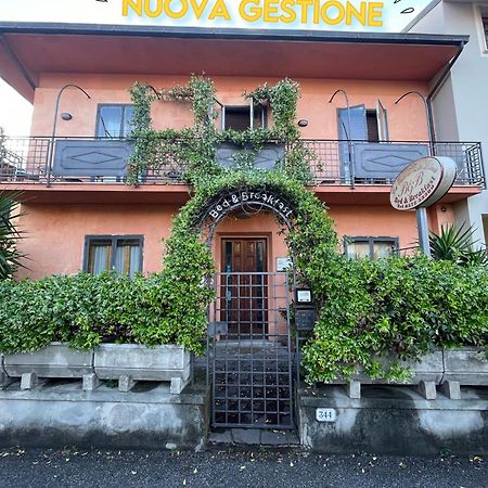 B&B La Casa Di Zia Lina Monsummano Terme Экстерьер фото